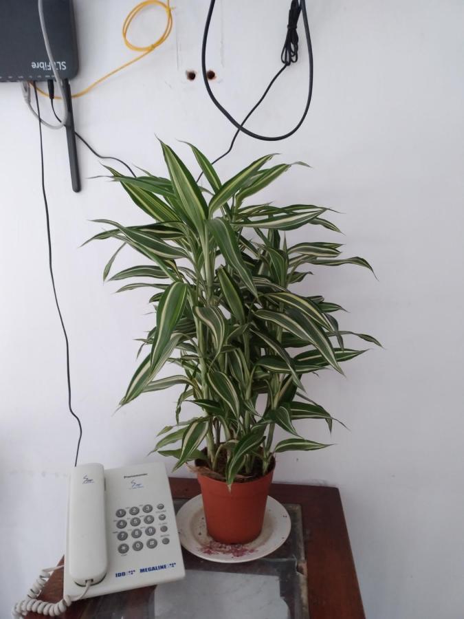 Holly House Homestay Ella Buitenkant foto