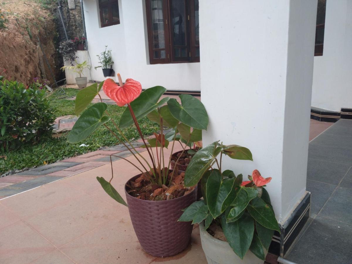 Holly House Homestay Ella Buitenkant foto