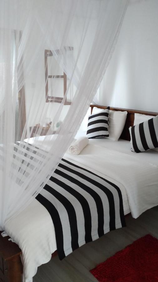 Holly House Homestay Ella Buitenkant foto